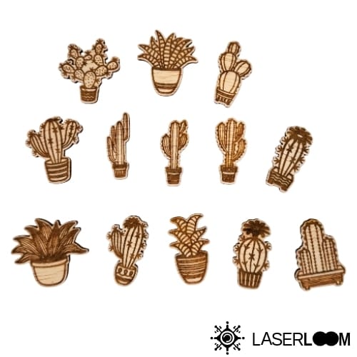 Set van 13 unieke houten koelkastmagneten met cactus design